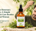 Rosmary Hair tonic Blog Post